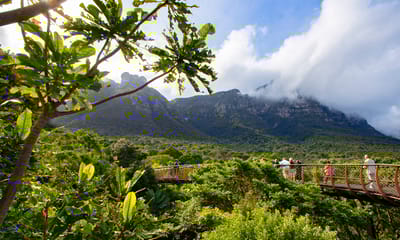 14 Day South Africa Private Family Tour