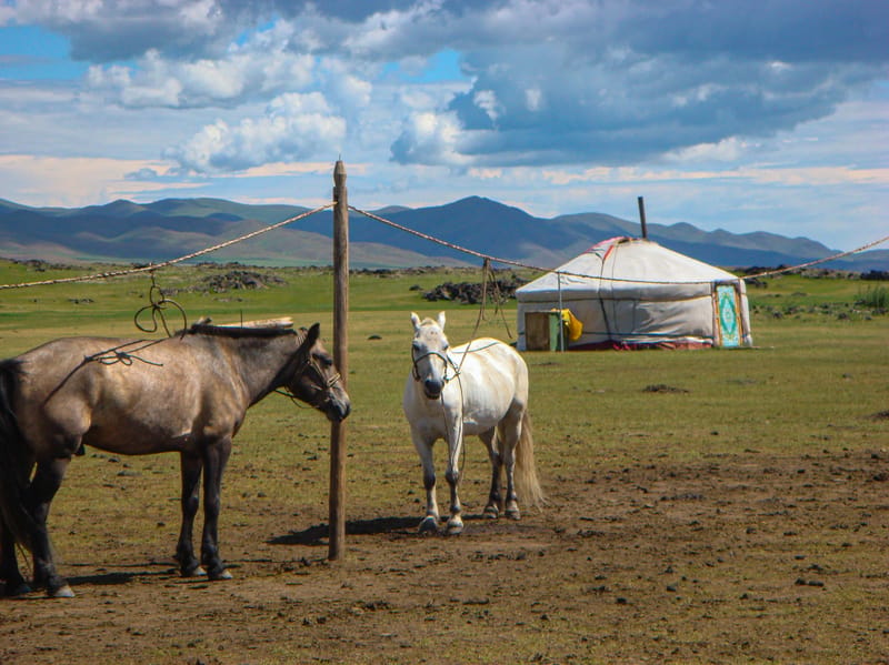 Two horses tied near a ger on the open Mongolian steppe, with rolling mountains and dramatic skies behind