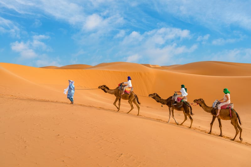 Camel trekking through the Sahara desert.