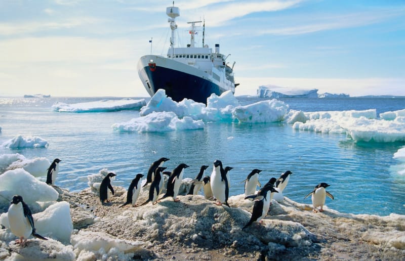 Penguins standing on an icy beach with a ship in the water behind them