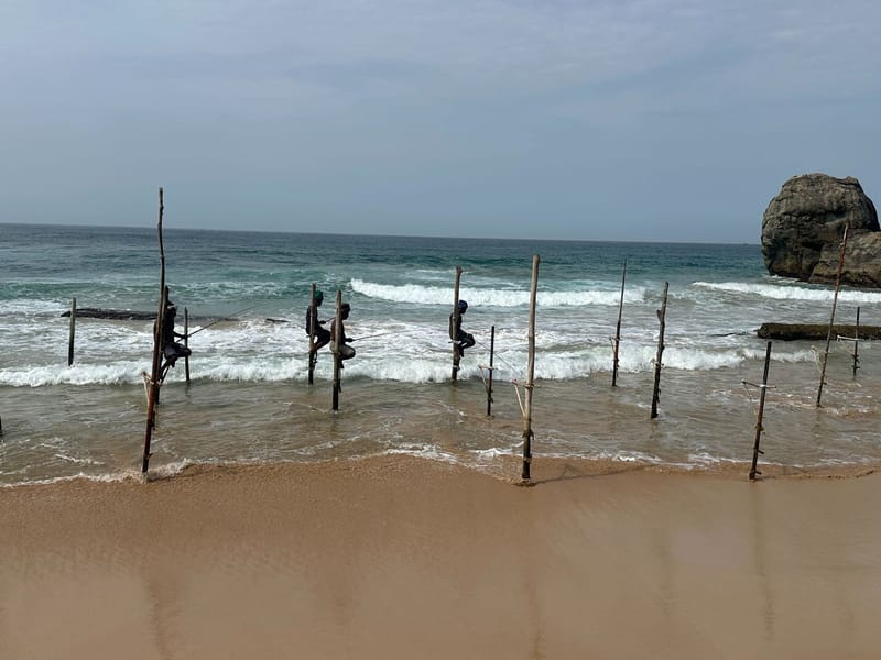 Traditional Stilt Fishing on the southern coast of Sri Lanka.