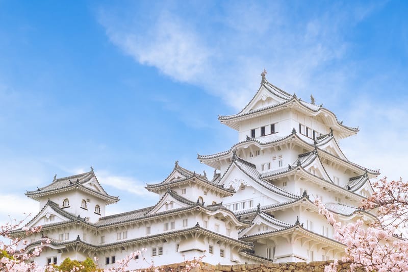 View of Himeji Castle with cherry blossoms, representing the harmony of traditional Japan and historical architecture.