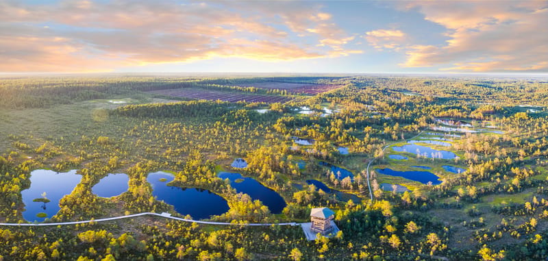 The ancient peat bogs of Soomaa National Park, in central Estonia, are best explored on foot via wooden boardwalks or traditional bog shoes.