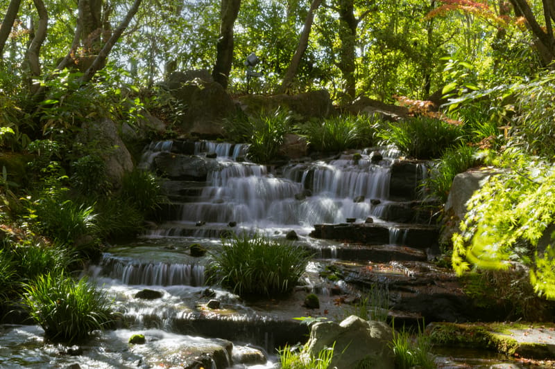 The lush grounds of Koko-en garden, next door to the castle's west moat.