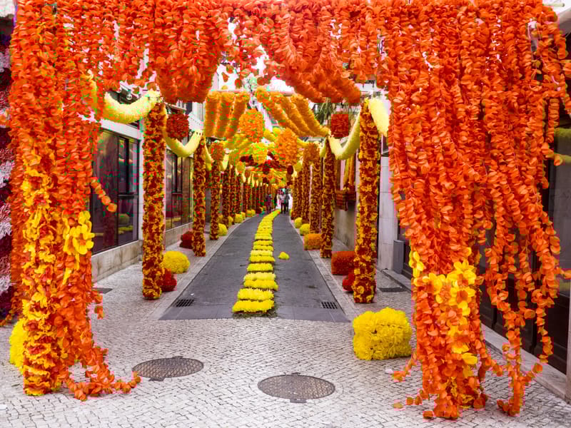 Streets adorned with flowers during the Festival of the Trays.&nbsp;