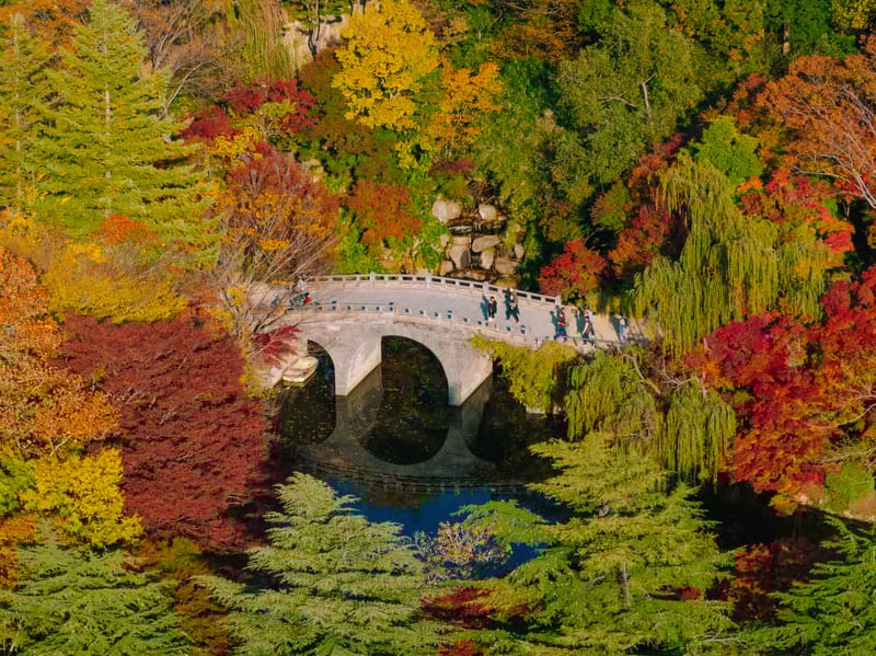 Aerial photograph of Bulguksa Temple in South Korea, with vibrant red, orange and yellow leaves