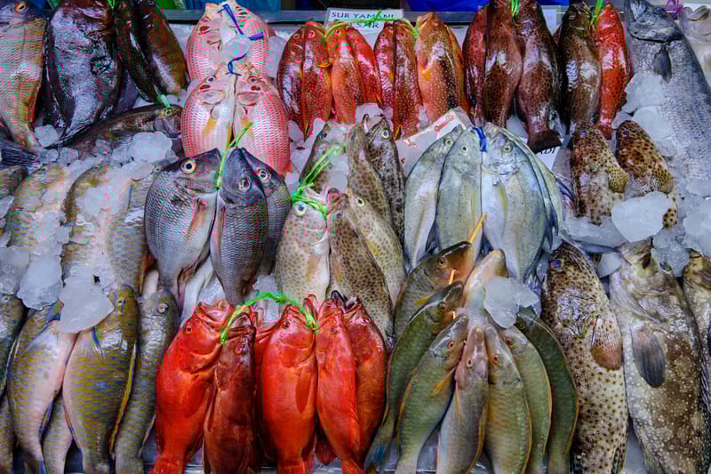 Fresh catches on display at a Jeddah fish market, where the Arabian Gulf meets the kitchen.