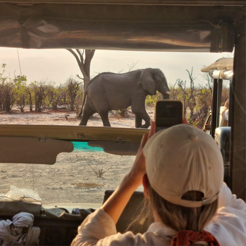 Taking photos of elephants on safari in Botswana during an Africa family tour