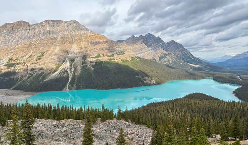 Overlooking the glowing waters of Peyto Lake, a natural gem of Banff National Park (Photo: supplied)