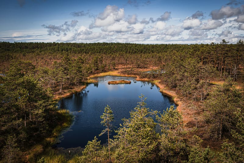 Lahemaa National Park is around an hour's drive east of Tallinn, where Ice Age boulders meet dense pine forest.