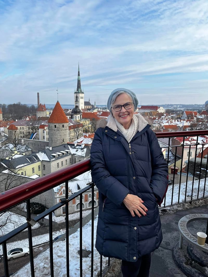 Linda takes in the stunning Views of Tallinn From Toompea Hill (Supplied: Linda I)