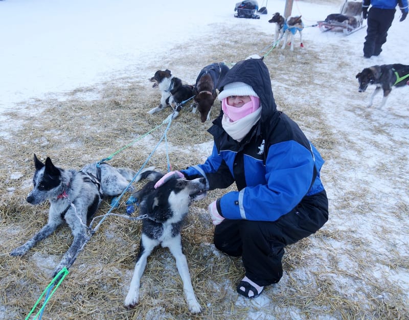 Husky sledding through the Finnish countryside at -28&deg;C. Our Arctic tours take you places that stay with you long after you've thawed out.