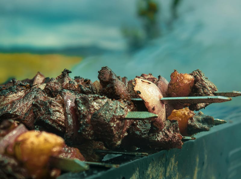 Grilled mutton skewers on the steppe. Is Mongolia cheap to travel? At AUD 3–8 a meal, the food bill says yes
