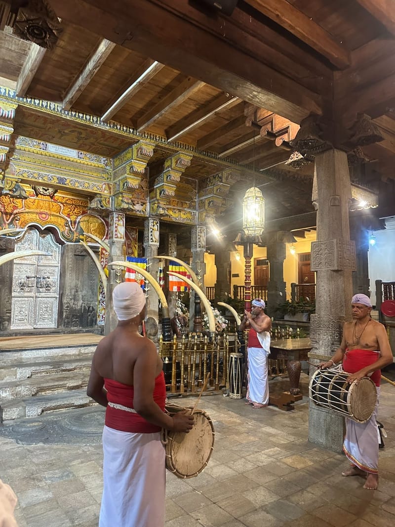 Witnessing the daily ritual of the tooth relic at Temple of the Tooth in Kandy.