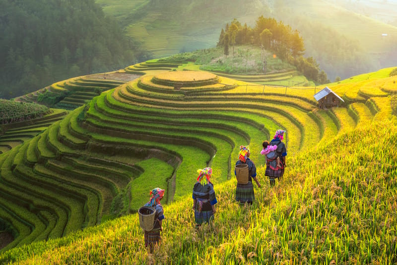 The rice terraces of Mu Cang Chai in northern Vietnam, one of several destinations worth considering for May travel beyond the main six.