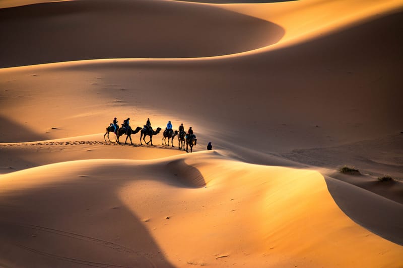 Camels carry travellers into camp along the edge of the dunes.