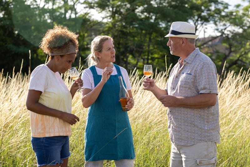 Your Tailormade holiday in France can include a rose tasting with a sommelier at a local vineyard